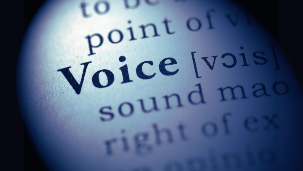 image from a word directory about the word voice